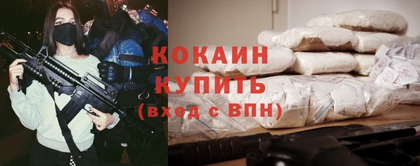 соль ск Новодвинск