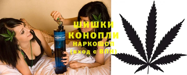 mdpv Новозыбков