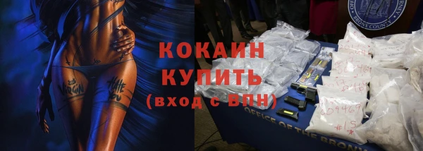 кокс Ельня