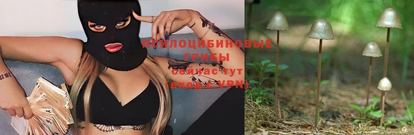 соль ск Новодвинск