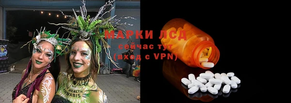 соль ск Новодвинск
