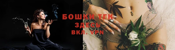 mdpv Новозыбков