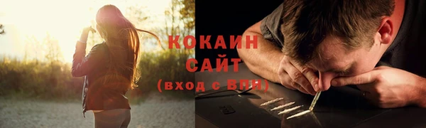 соль ск Новодвинск