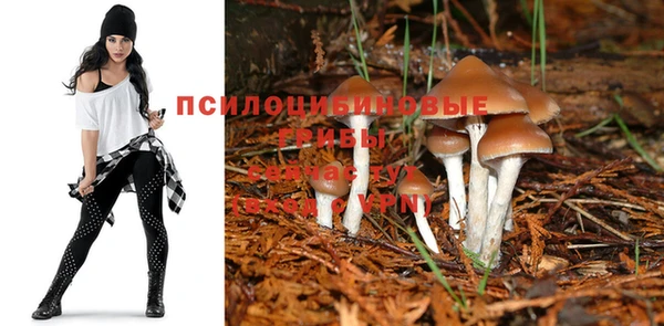 соль курить ск Новокубанск