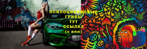 бутират Сосновка