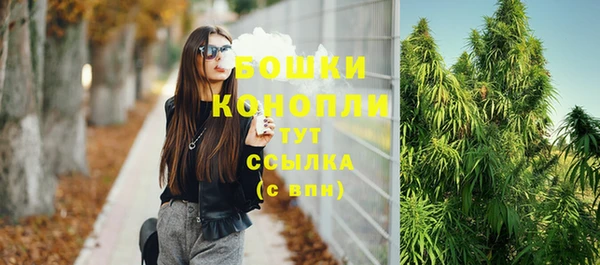 соль ск Новодвинск