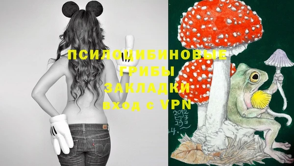 спайс Елизово