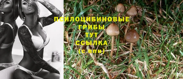 соль курить ск Новокубанск