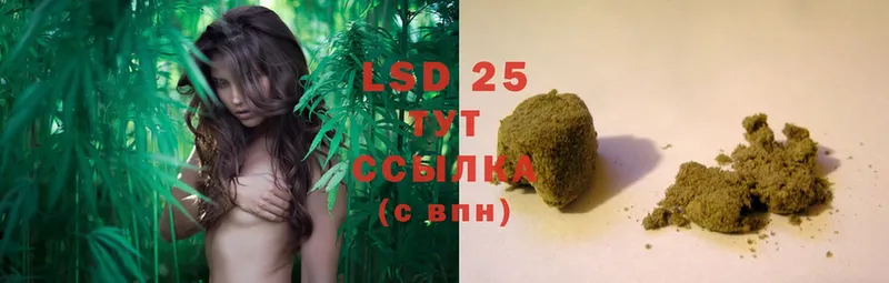 LSD-25 экстази ecstasy  купить наркоту  Красный Холм 